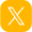x icon